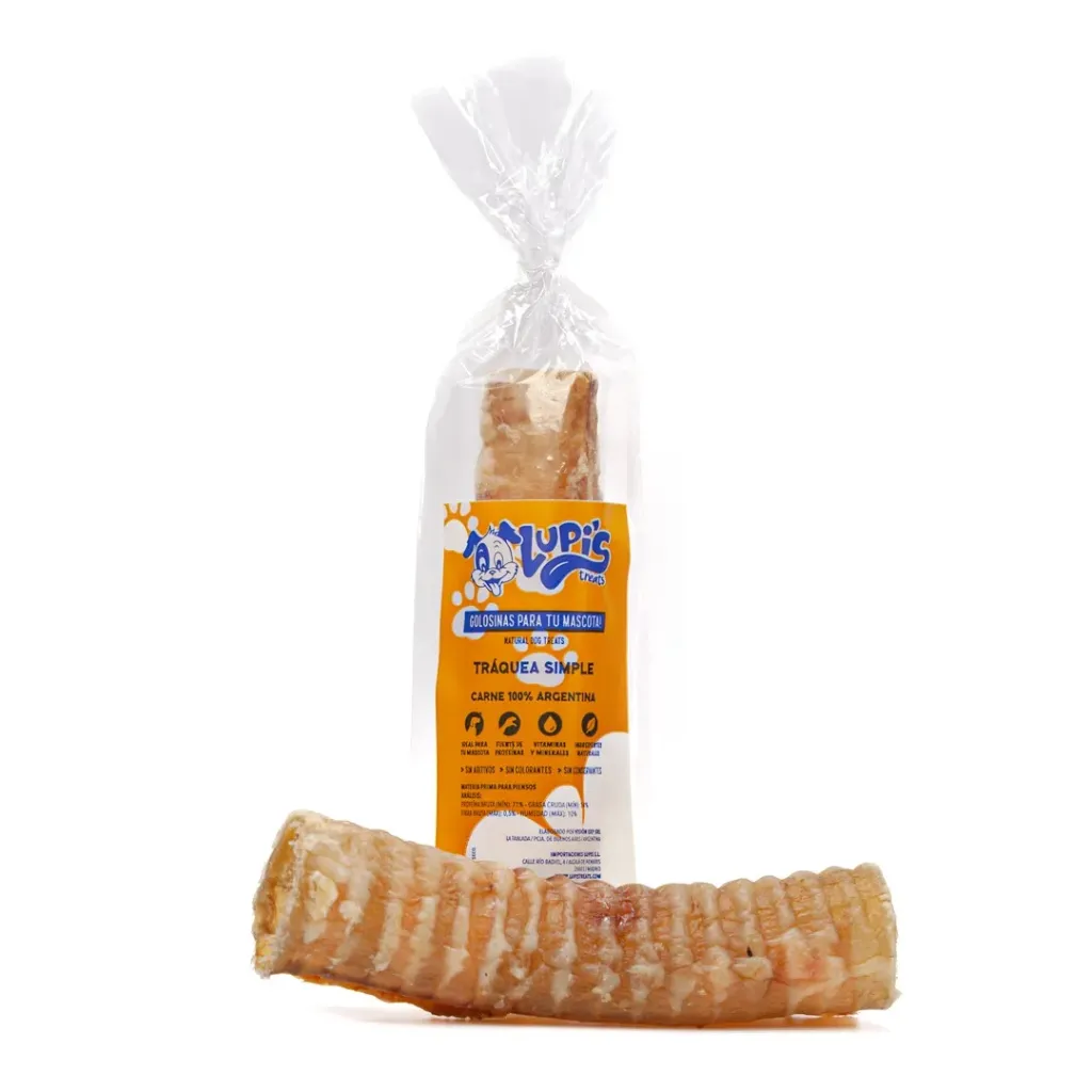 Traquea Simple Vacuna